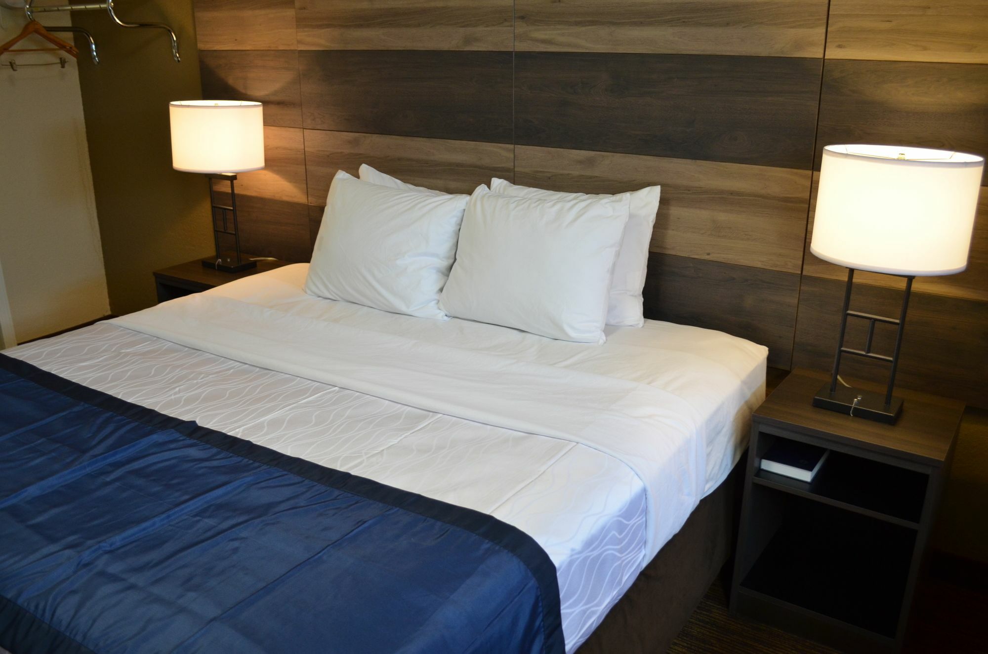 Hotel Baymont By Wyndham Downtown Detroit