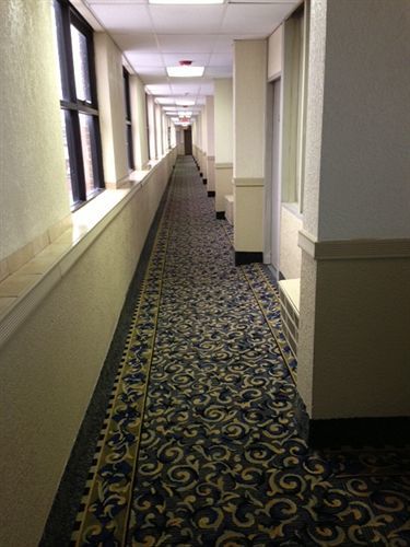 Baymont By Wyndham Downtown Hotel 2*