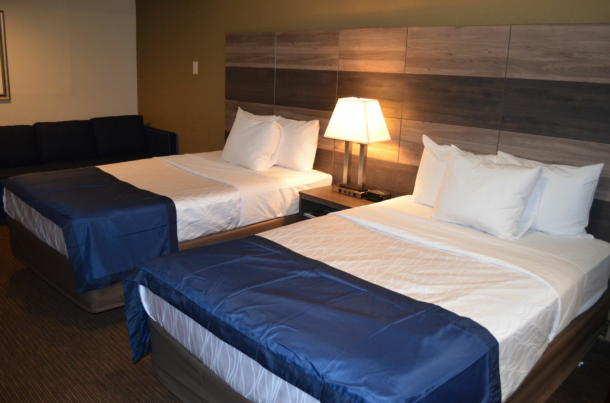 Hotel Baymont By Wyndham Downtown Detroit
